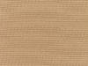 canvas-camel