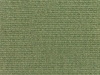 canvas-fern