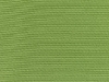 canvas-palm