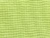 canvas-parrot