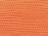 canvas-tangerine