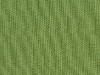 spectrum-cilantro