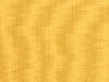 spectrum-daffodil