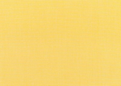 Canvas Buttercup