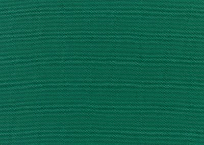 Canvas Forest Green