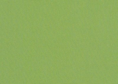 Canvas Ginkgo