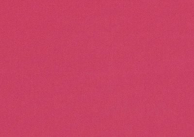 Canvas Hot Pink