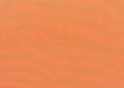 Canvas Tangerine