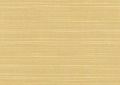 Dupione Bamboo Hampton Bay Replacement Cushion Sunbrella